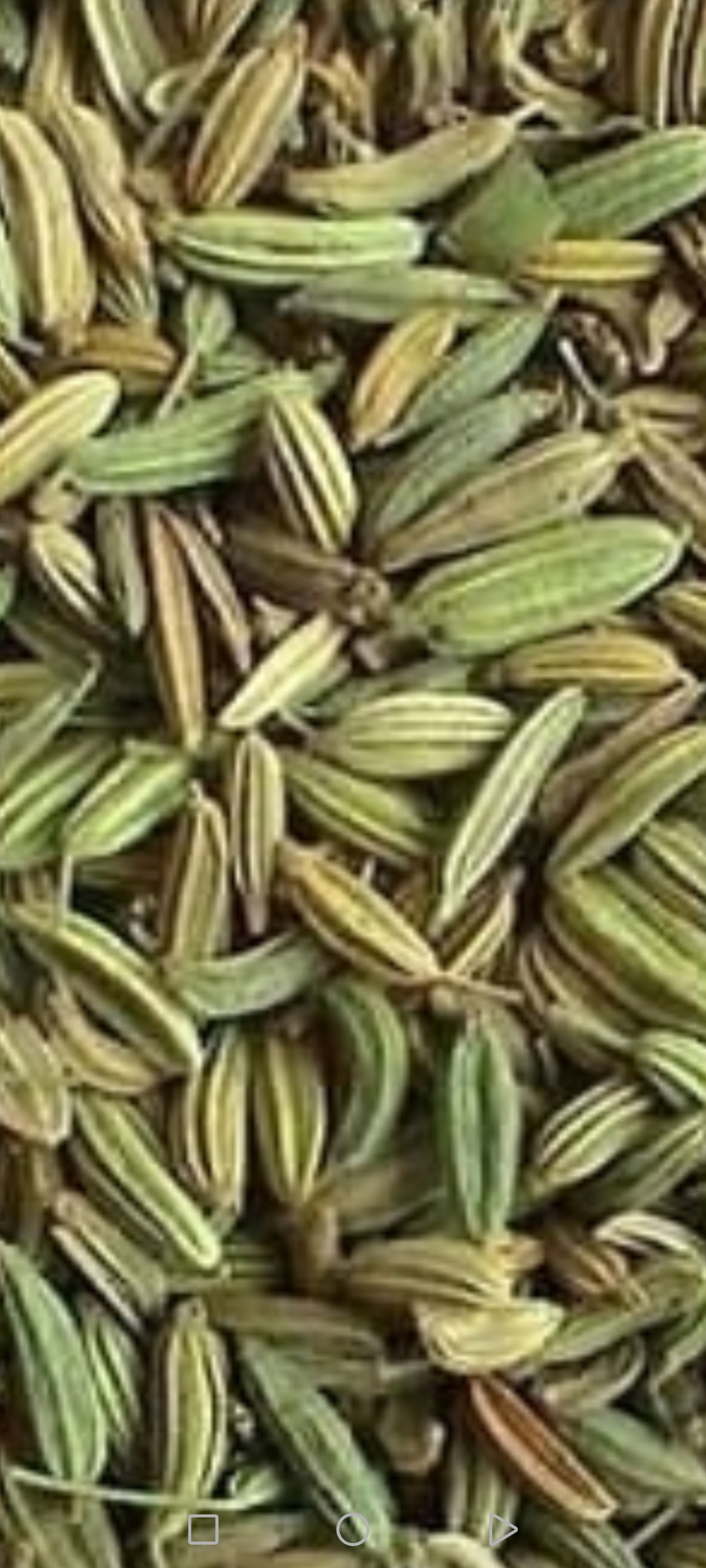 تصویر 1 از بزرگ ترین گروه تامین زیره صادراتی + قیمت روز