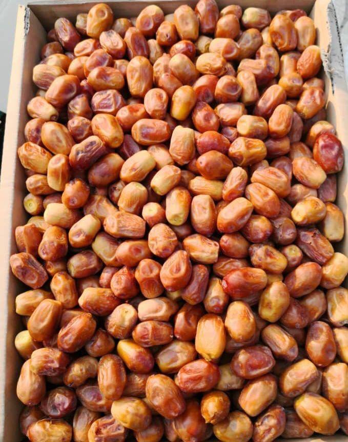 سفارش خرمای زاهدی جنوب