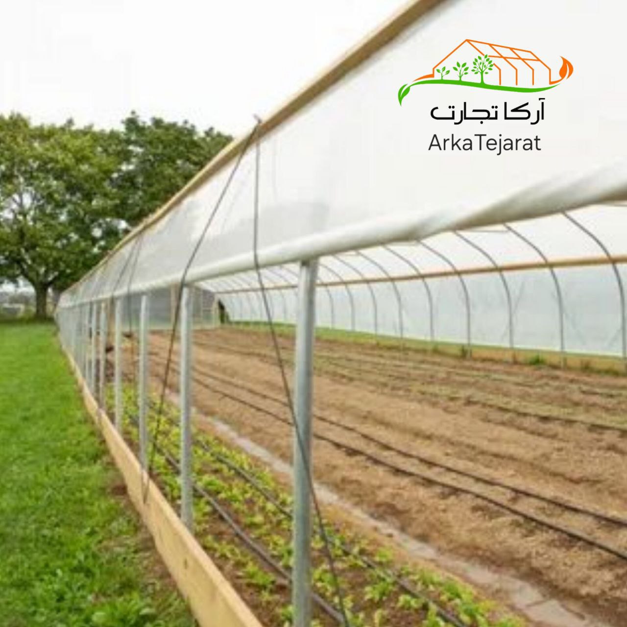 تصویر 3 از خرید نایلون گلخانه شیمی پلاستیک عرض 8 قیمت عمده و بدون واسطه