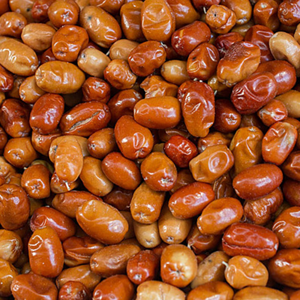 تصویر 2 از خرید سنجد شیرین درجه یک + قیمت فروش استثنایی