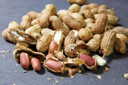 تصویر 3 از قیمت خرید بادام زمینی غلاف دار + فروش ویژه