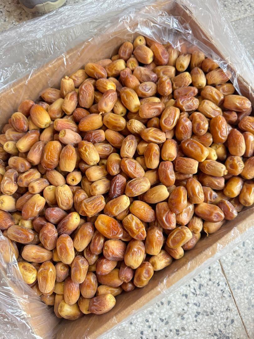 قيمت عالی خرمای زاهدی + قیمت استثنایی