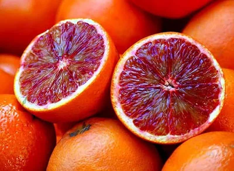 تصویر 1 از قیمت خرید پرتقال عمده به صرفه و ارزان