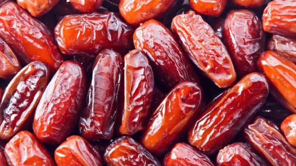 تصویر 2 از خرید و قیمت خرما کبکاب + فروش عمده