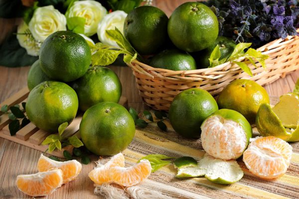 تصویر 4 از قیمت  نارنگی سبز + خرید باور نکردنی