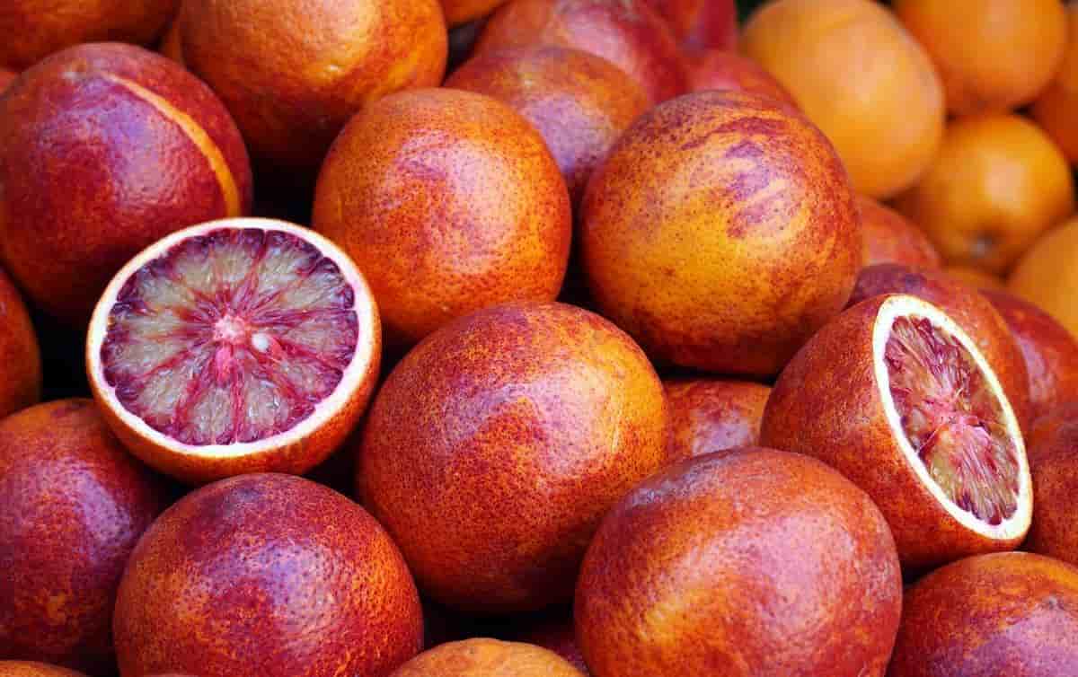 تصویر 1 از قیمت پرتقال خونی  + خرید باور نکردنی