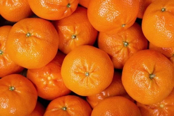 تصویر 2 از معرفی نارنگی  + بهترین قیمت خرید
