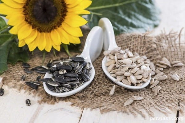 تصویر 1 از خرید تخمه آفتاب گردان + قیمت فروش استثنایی