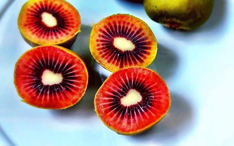تصویر 1 از بهترین کیوی تو سرخ  + قیمت خرید عالی