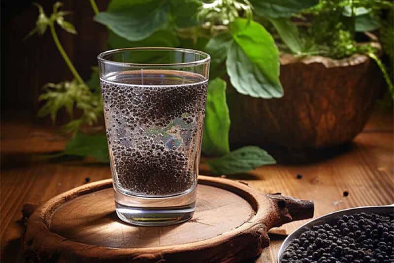 تصویر 5 از خرید و قیمت تخم شربتی + فروش عمده