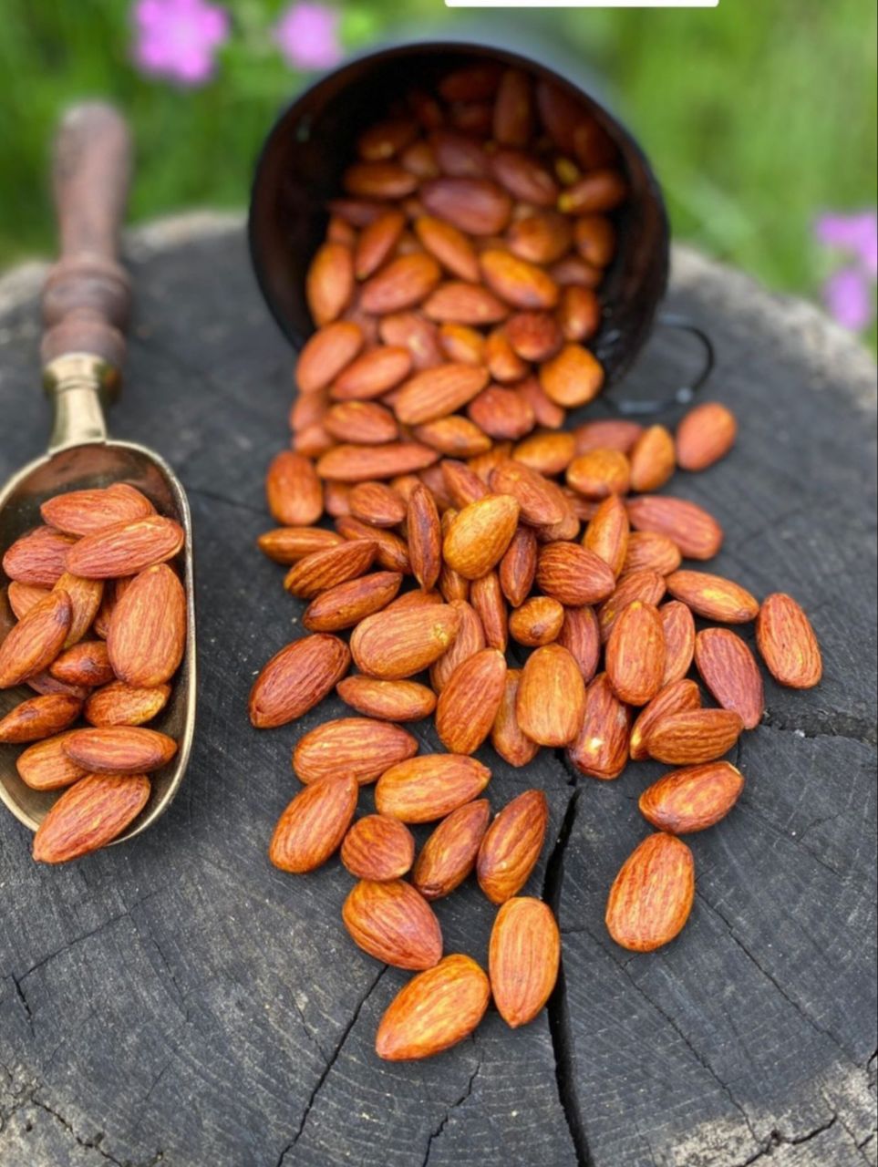 تصویر 4 از خرید و قیمت بادام شور + فروش عمده