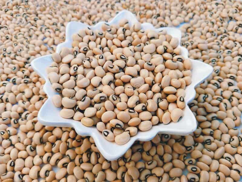 تصویر 3 از خرید و قیمت لوبیا + فروش عمده
