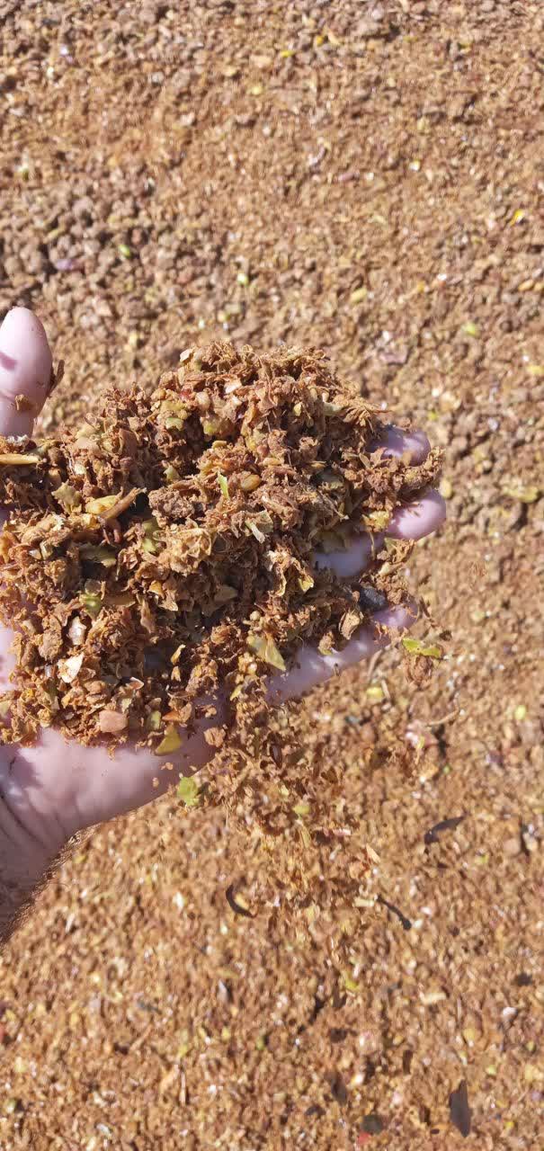 تصویر 2 از خرید و پخش تفاله سیب