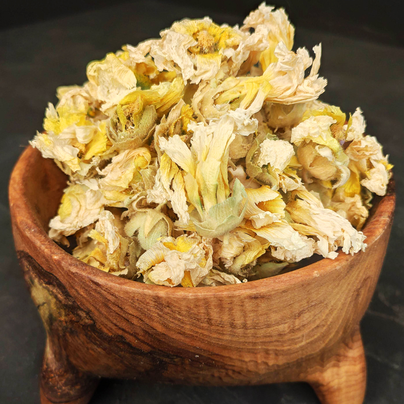 تصویر 1 از خرید و فروش عمده گل ختمی سفید صادراتی با قیمت ویژه