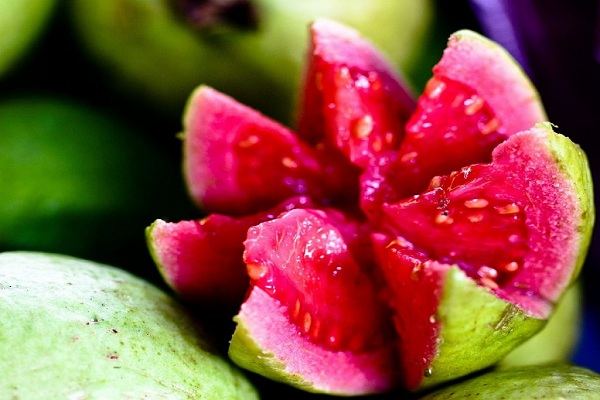 تصویر 4 از گواوا ارگانیک صادراتی + فروش عمده گواوا