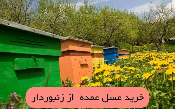 تصویر 3 از لیست به روز قیمت عسل خرید عمده