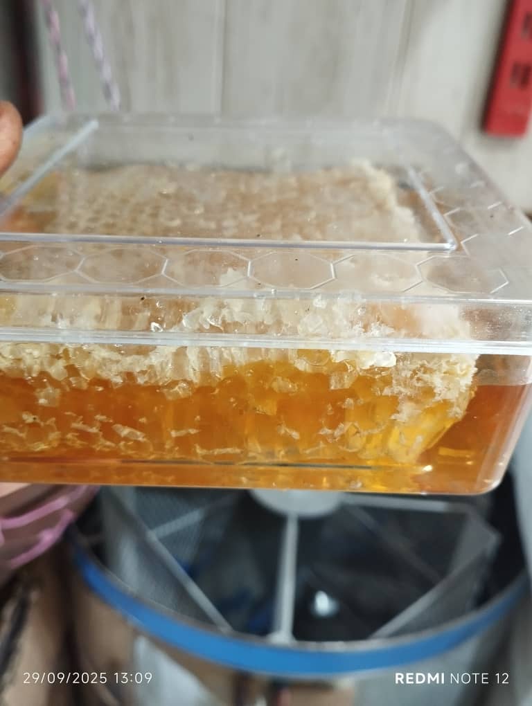 تصویر 1 از قیمت عمده فروشی عسل کم ساکارز + ارسال سریع