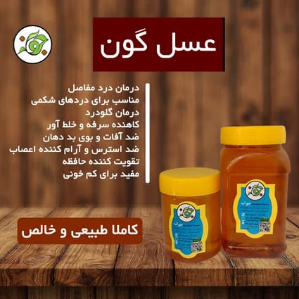 تصویر 3 از بهترین شرایط خرید عسل گون + قیمت رقابتی