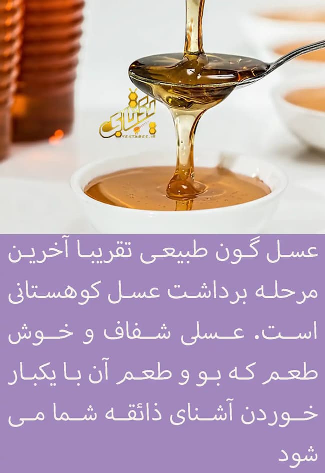 تصویر 5 از بهترین شرایط خرید عسل گون + قیمت رقابتی