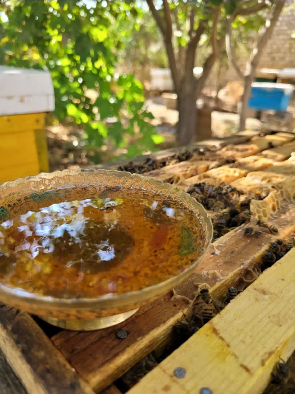 تصویر 4 از خرید عسل چهل گیاه