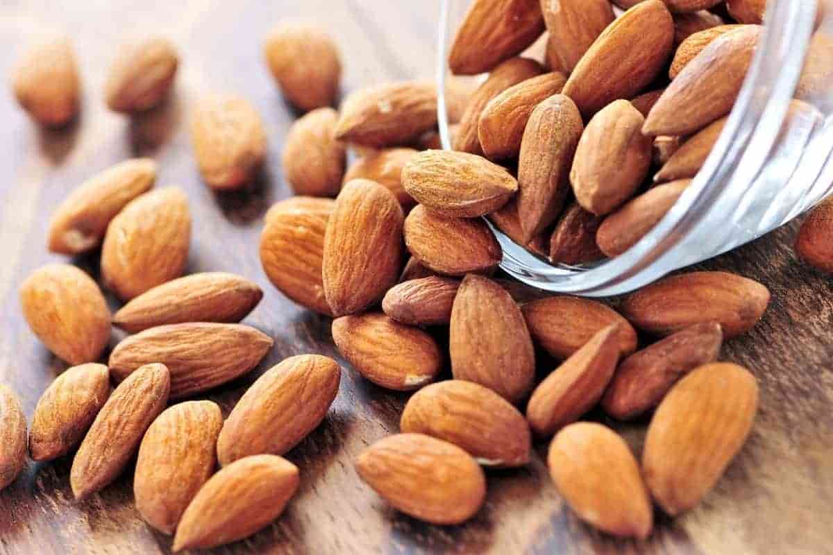 تصویر 3 از خرید بادام کوهی الوک + قیمت فروش استثنایی