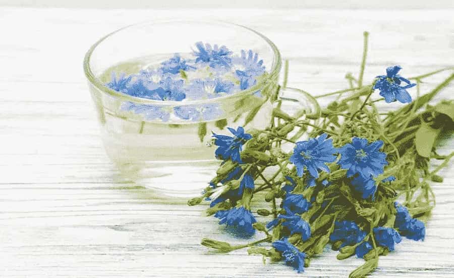 تصویر 2 از قیمت عرق کاسنی + خرید باور نکردنی