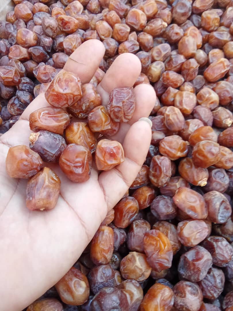 تصویر 1 از فروش خرما ریزه خاصویی + خوش قیمت