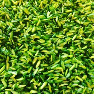 تصویر 1 از خرید و فروش خلال پسته خانگی با شرایط فوق العاده