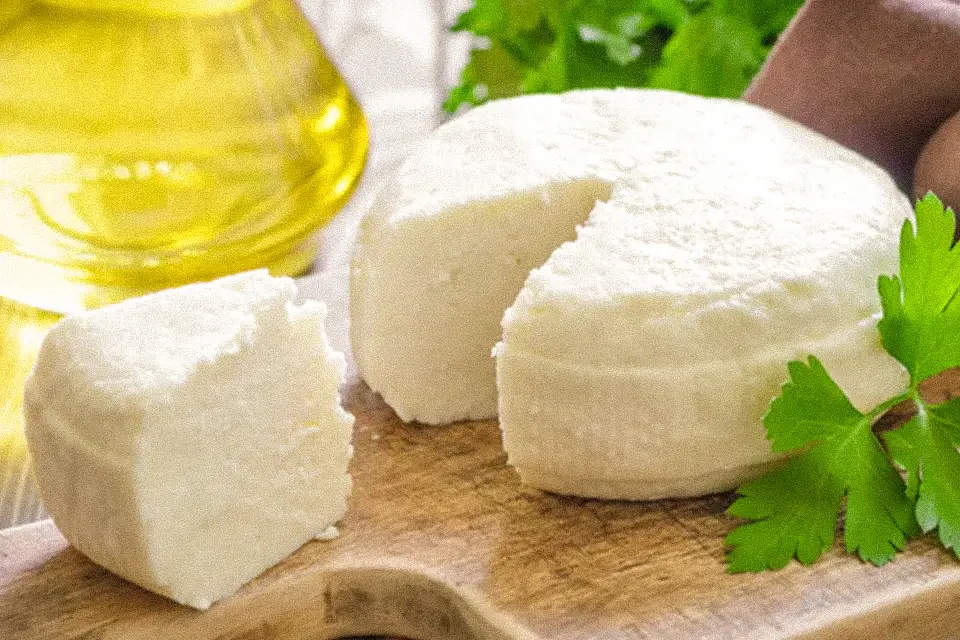 تصویر 5 از قیمت خرید پنیر لاکتیکی + فروش ویژه