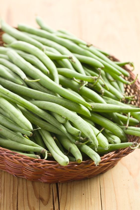 تصویر 4 از فروش ویژه لوبیا سبز یخ زده + فروش عمده