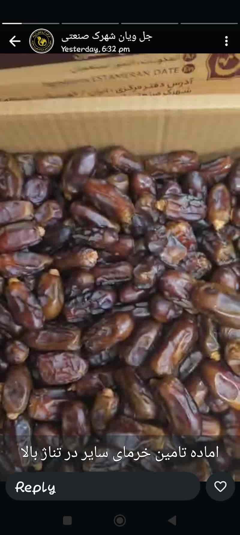 تصویر 2 از قیمت خرما استعمران + فروش بدون واسطه