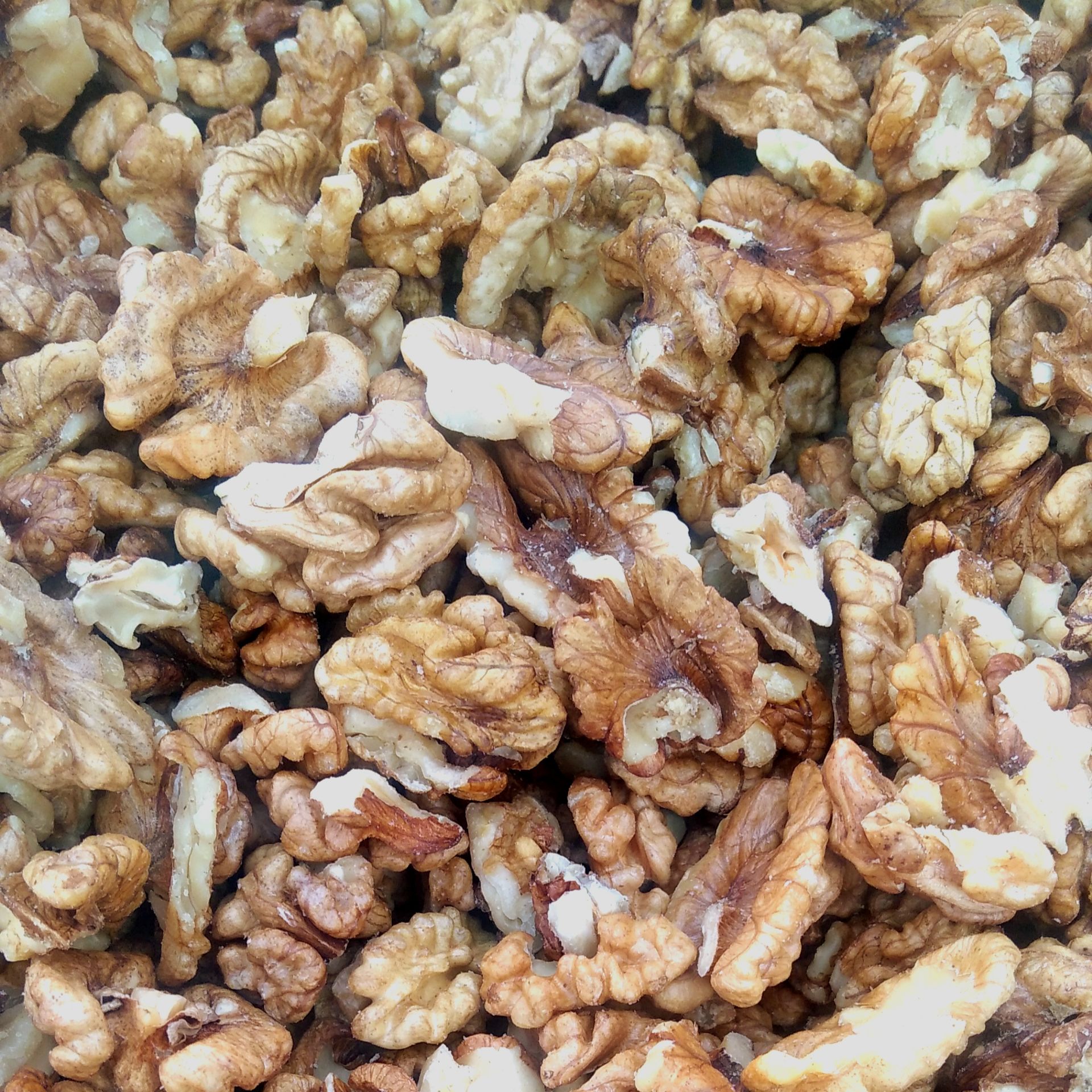 تصویر 1 از خرید گردو با پوست ایرانی عمده به صرفه و ارزان