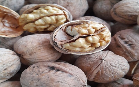 تصویر 1 از قیمت خرید گردو تازه اصفهان + فروش ویژه