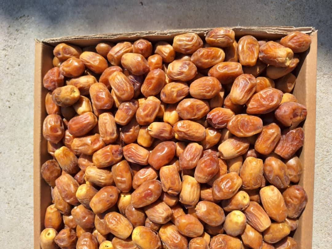 تصویر 1 از خرید انواع خرما زاهدی قصب بهترین کیفیت صادراتی