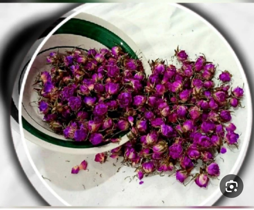 خرید غنچه گل محمدی با تضمین کیفیت