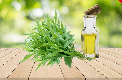 تصویر 1 از فروش عمده اسانس مرزه طبیعی گرید A