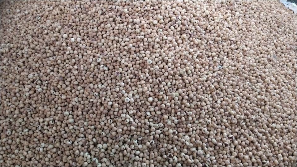 تصویر 1 از پخش عمده انجیر های با کیفیت بسته بندی شده مستقیم از شرکت آسا خشکبار