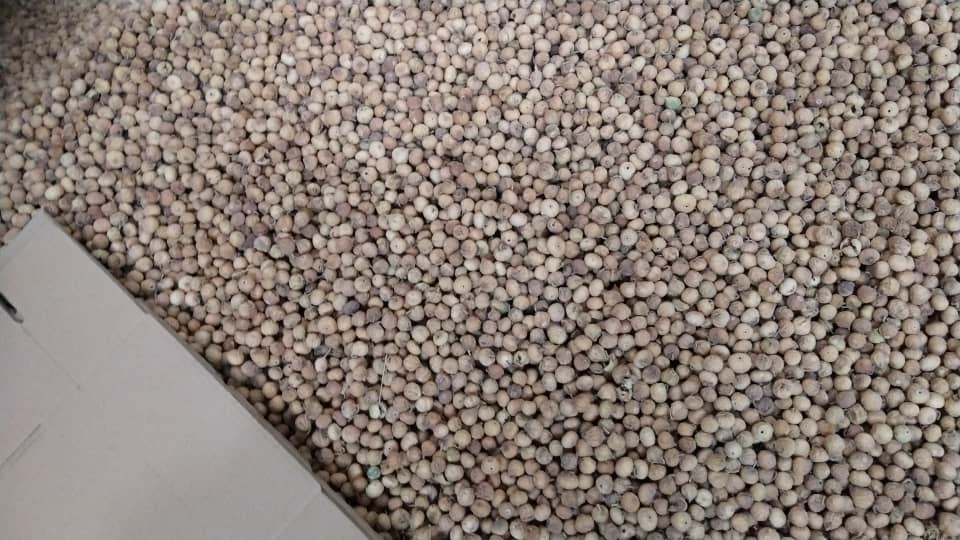 تصویر 1 از انجیر خشک گلوگاه ممتاز با کیفیت عالی