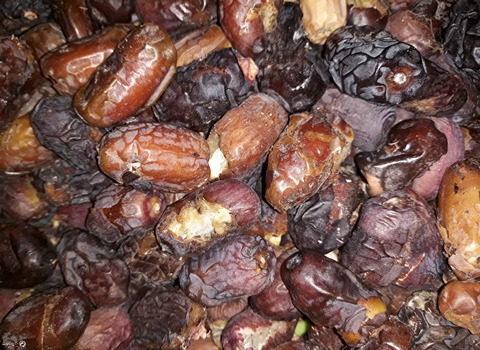 خرید و فروش خرما ضایعات جیرفت بهترین
