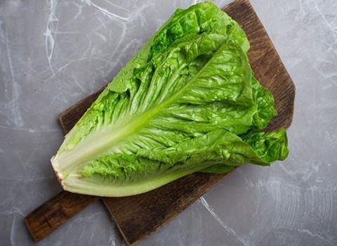نرخ روز کاهو رومانو + بهترین قیمت خرید