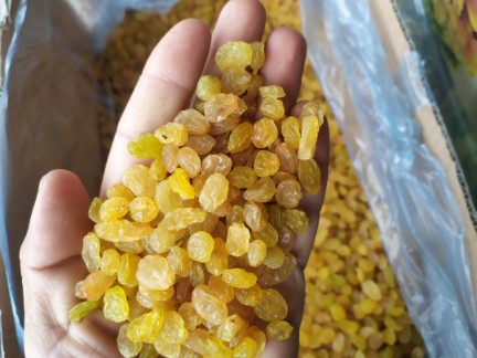 خرید امن کشمش گلدن + فروش کلی