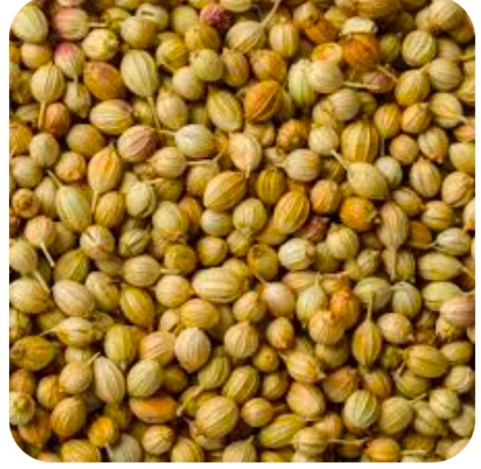 تصویر 1 از خرید تخم گشنیز آناهیتا از فروشگاه به صورت آنلاین