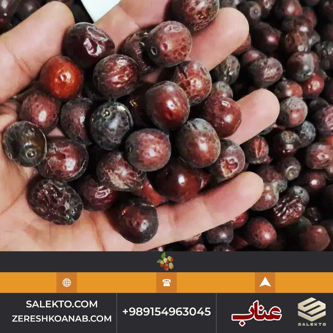تصویر 3 از عناب امسالی خراسان جنوبی برداشت مستقیم از باغ دار + فروش فوق‌العاده