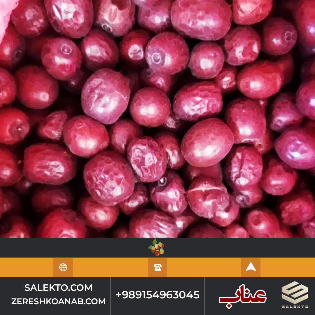 تصویر 3 از عناب امسالی قائنات با طعم شیرین و ارزش غذایی بالا + خرید به‌ صرفه
