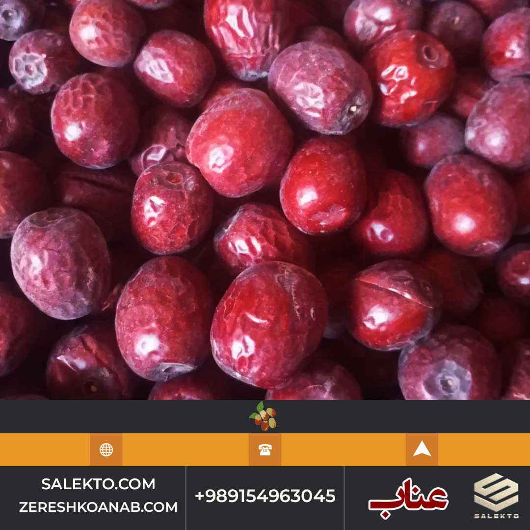 تصویر 2 از عناب امسالی بیرجند بدون مواد افزودنی و ارگانیک + خرید ارزان