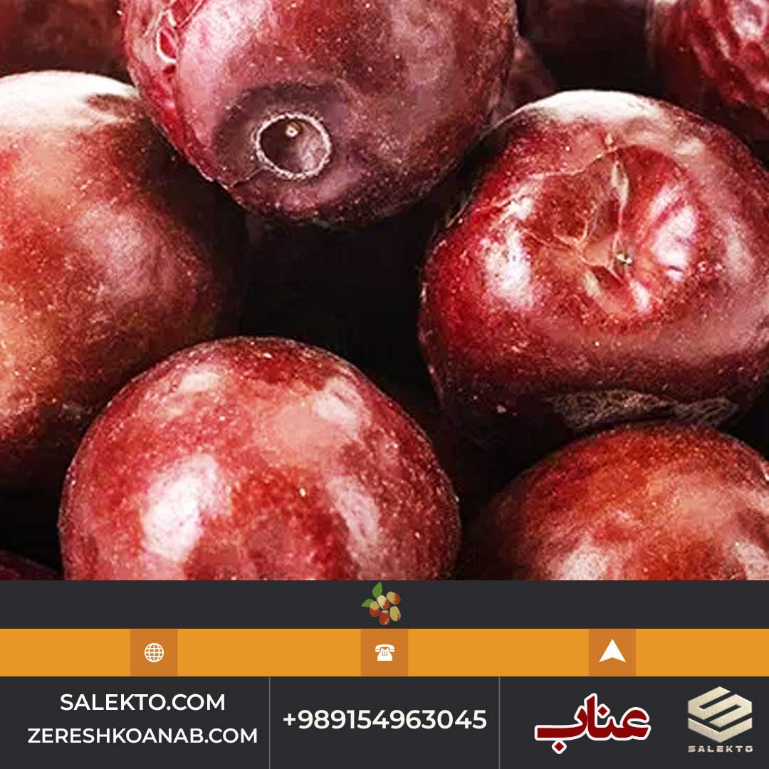 تصویر 4 از عناب امسالی بیرجند کیفیت صادراتی + شرایط استثنائی