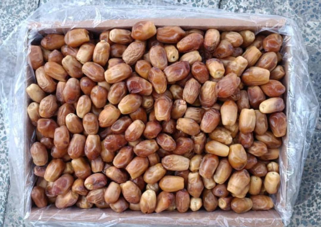 تصویر 3 از خرما زاهدی ریز + قیمت فروش فوق العاده