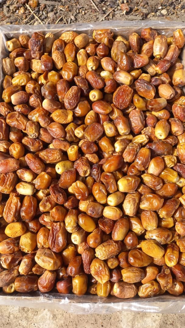تصویر 2 از خرما زاهدی ریز + قیمت فروش فوق العاده