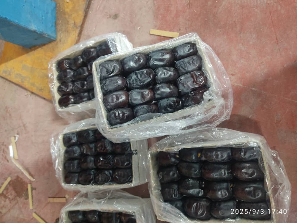 تصویر 1 از خرما مضافتی کارتونی + قیمت فروش مستقیم از کارخانه