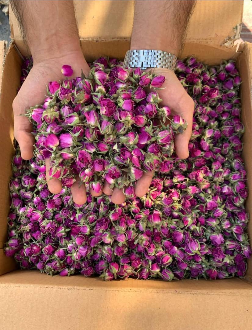 نحوه سفارش و خرید غنچه گل محمدی خشک + قیمت استثنایی